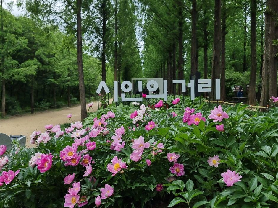 월드컵공원 시인의 거리 표지와 꽃밭